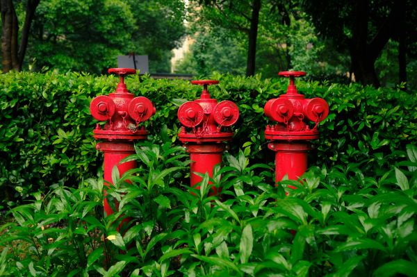Sélection des meilleures vannes personnalisées pour les jardins